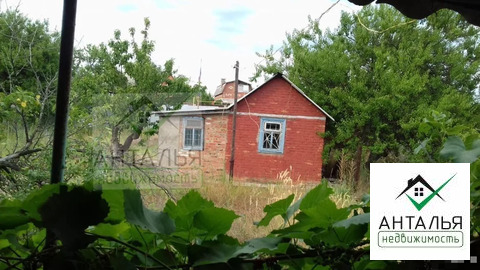 Дача 24 Интернет Магазин Официальный