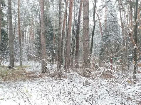 Продажа участка 17 сот. п. Кратово, ул. Кооперативная