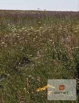 Продажа участка, Конь, Пестречинский район, ул. Пионерская