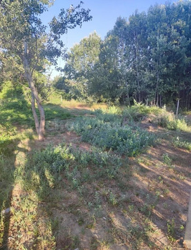 Продажа участка, Севастополь, ул. Садовая