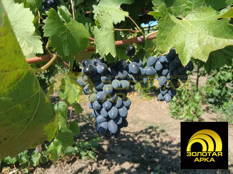 Продажа участка, Старотитаровская, Темрюкский район, Ильича пер.