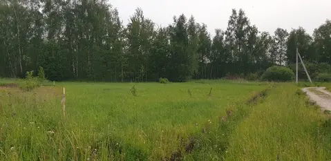 10 соток д. Максимиха г/о Домодедово