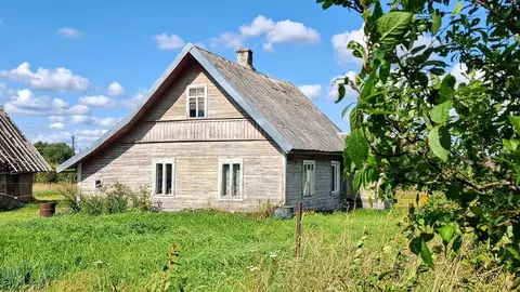 Добротный дом на хуторе под Псковскими Печорами, более 6-ти Га земли.