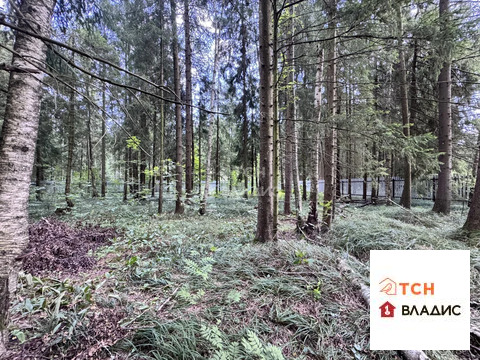 Продажа участка, Могильцы, Лотошинский район