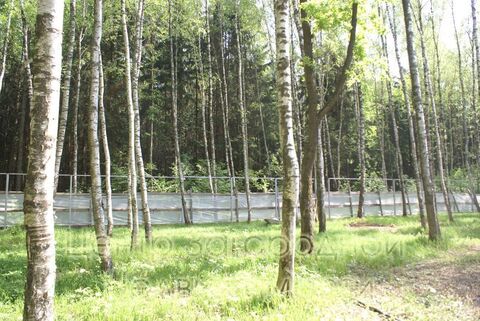 Продается участок. , Милюково д,, Купить земельный участок в Москве, ID объекта - 202322823 - Фото 1 Продается участок. , Милюково д,, Купить земельный участок в Москве, ID объекта - 202322823 - Фото 1