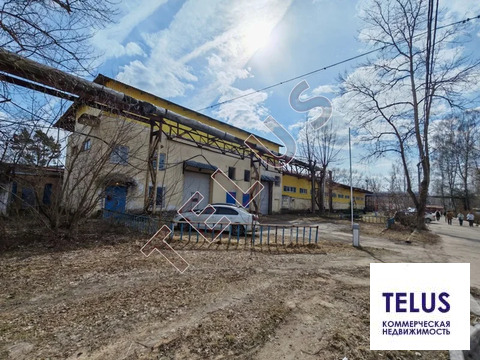 МО, Электросталь г.о., Новые Дома пос., 4000 м2, Пищевое производство ...