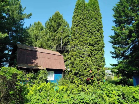 Продажа дома, Белоярка, Мошковский район, снт Парус