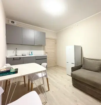 Ленина, 7 к2  1комн (26000)