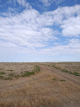 Продажа участка, Уткино, Красноперекопский район, ул. Мира