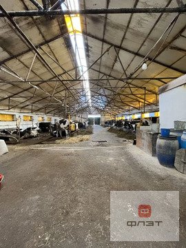 Продажа склада, Копки, Кукморский район, ул. Советская