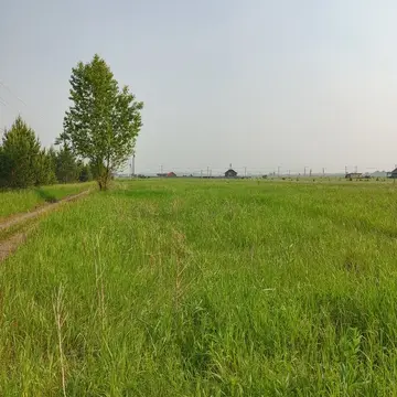 Продам земельный участок д.Есаулово ДНТ Восточный