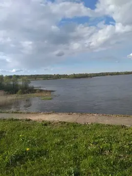 Срочно продается зем.участок с электричеством в д.Волково, Рузский р.