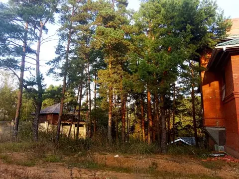 Участок с панорамными видами и соснами в элитном поселке в Барвихе