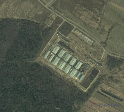 Продажа ПСН, Сосницы, Волосовский район