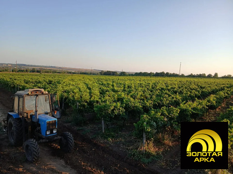 Продажа участка, Старотитаровская, Темрюкский район, Ильича пер.