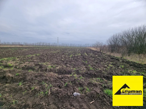 Продажа участка, Воронцовка, Ейский район