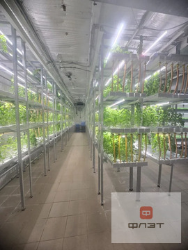 Продажа ПСН, Яшь Кеч, Высокогорский район, ул. Шоссейная