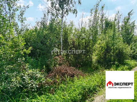 Участок, СНТ Фортуна