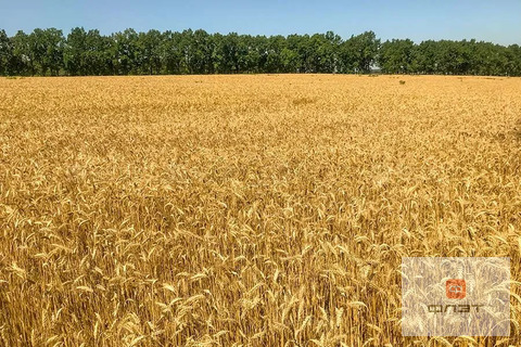 Продажа участка, Айбаш, Высокогорский район, дом 702