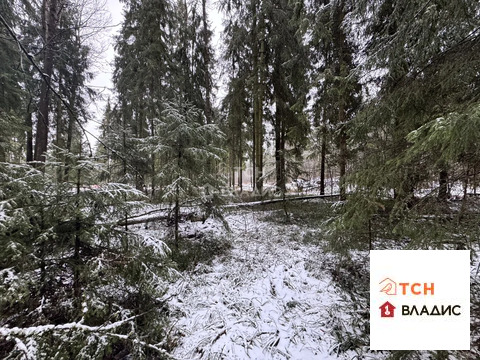 Продажа участка, Могильцы, Лотошинский район