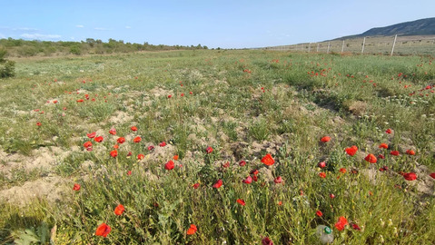 Продажа участка, Сирень, Бахчисарайский район, ул. Ялтинская