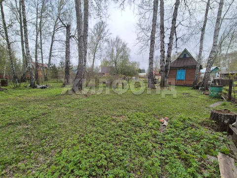 Продажа дома, Новосибирск, снт Заря