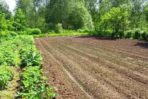 Дача в деревне Двойни