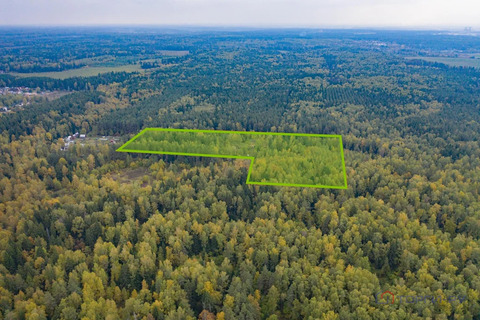 Продажа земельного участка, Лесной