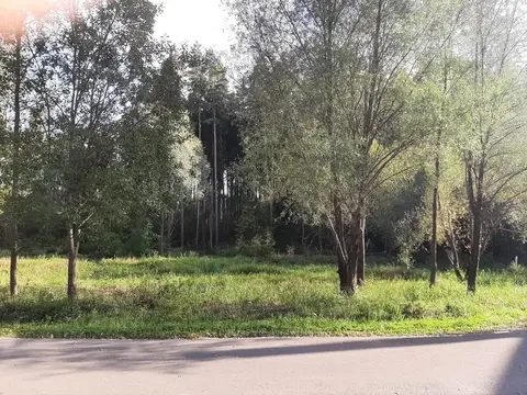 Продажа лесного участка в тихом месте на Рублевке на Николиной горе