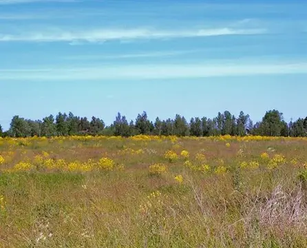 Продам участок 166с сельхоз/назначения