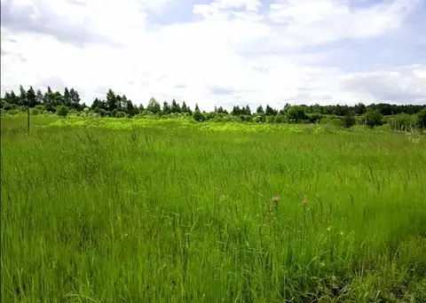 Земельный участок в д. Поповская