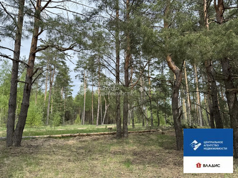 Продажа участка, Рязанский район, садоводческое товарищество ...