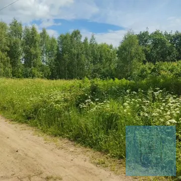 21 сотка в д. Климтино