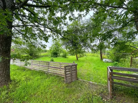 Участок в деревне Бормусово