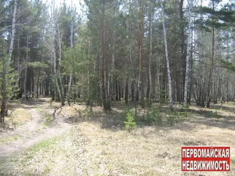 Земельный участок 48 соткок с.чернолучье