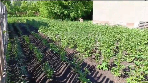 Продажа дома, Новосибирск, снт Садовод-ССМ