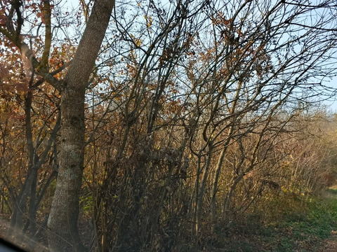 Продажа участка, Северский район