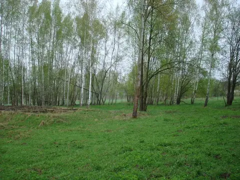 Земельный участок в деревне