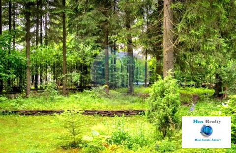 Купить Участок В Зверево Новая Москва