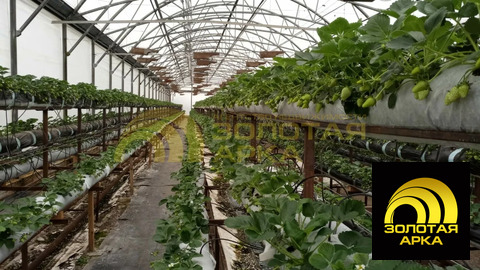 Продажа производственного помещения, Полтавская, Красноармейский ...