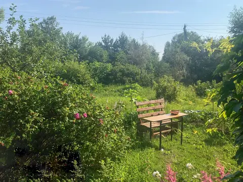 Купить дом в окружении леса можно уже сейчас!