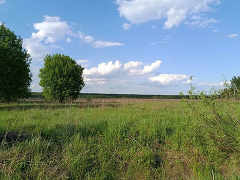 Участок в деревне Станинская Участок в деревне Станинская