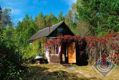 Дача на солнечной опушке леса СНТ Репка у д. Шапкино, Наро-Фоминский р