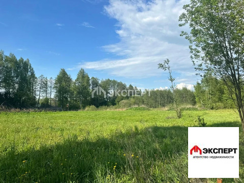 Участок, п. Елизаветино