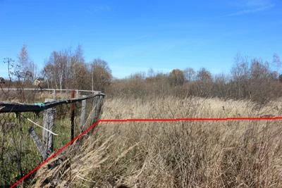 Участок 10 соток в СНТ "Цвет" у д. Благовещенье