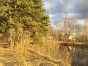 2 080 000 Руб., Продам участок, Купить земельный участок в Ногинске, ID объекта - 202323781 - Фото 2 2 080 000 Руб., Продам участок, Купить земельный участок в Ногинске, ID объекта - 202323781 - Фото 2