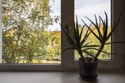 3-х комнатная в хорошем состоянии, Купить квартиру в Нижневартовске, ID объекта - 331944297 - Фото 2 3-х комнатная в хорошем состоянии, Купить квартиру в Нижневартовске, ID объекта - 331944297 - Фото 2