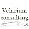 Велариум консалтинг