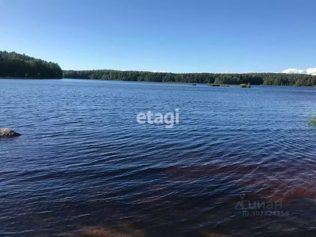 Участок в Ленинградская область, Приозерский район, Ромашкинское ... - Фото 0