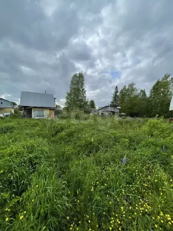 Дом в Архангельская область, Котласский муниципальный округ, ... - Фото 1